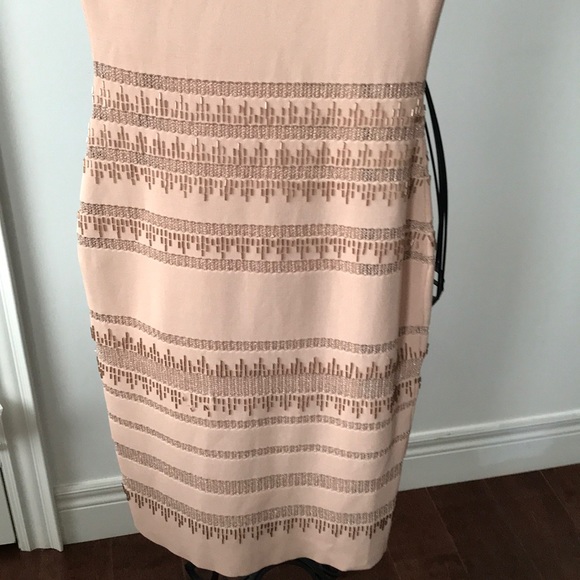 COPY - Phase Eight Dress - Picture 5 of 5